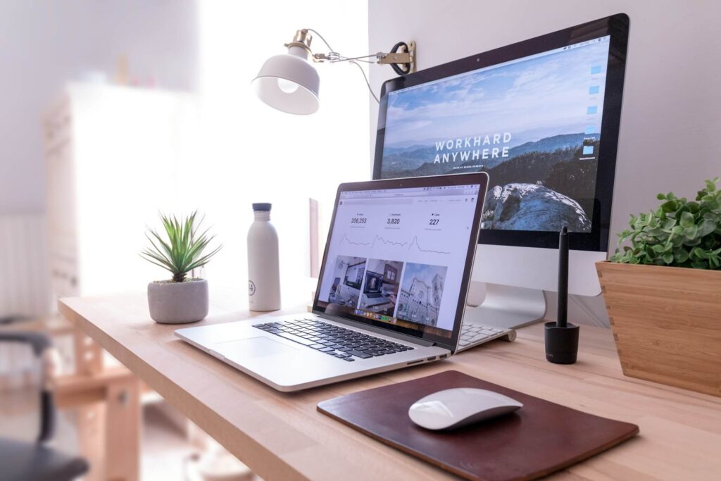 3. Cablu conectare laptop la monitor (doua plante verzi mici pe bbirou)