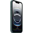 Apple Husa Originala Silicon iPhone 16e Lake Green