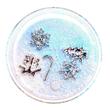 Popsockets Suport PopGrip Tidepool Snowed In,resigilat